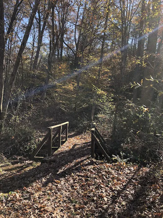 Grayson Lake Damsite Shelters 1