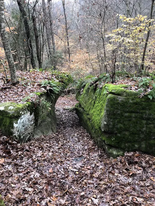 Grayson Lake Damsite Shelters 6