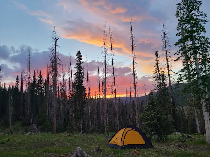 Trujillo Meadows Campground 3