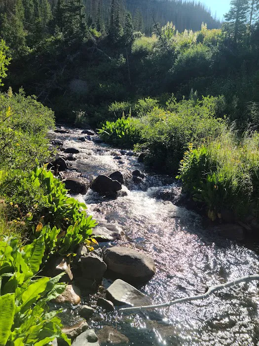 Trujillo Meadows Campground 4