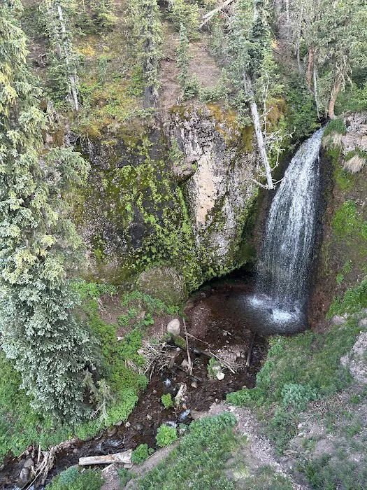 Trujillo Meadows Campground 1