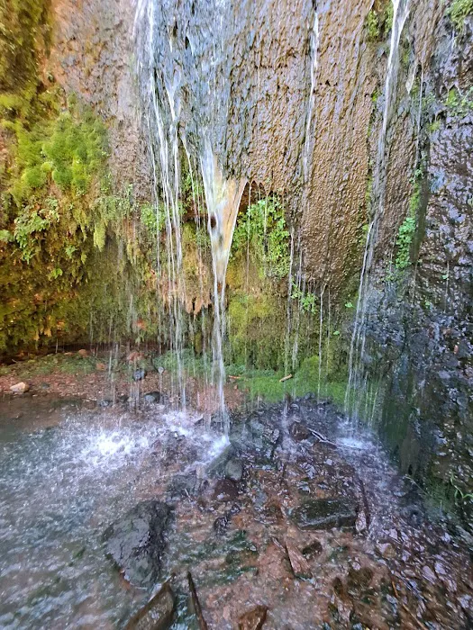 Trujillo Meadows Campground 9