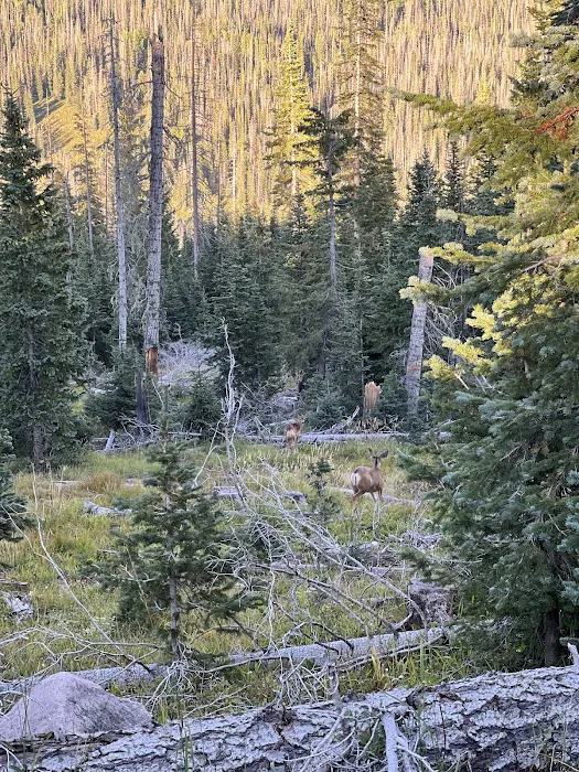 Trujillo Meadows Yurt 1