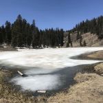 Lower Lagunitas Campground