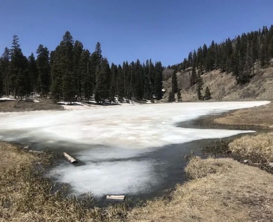 Lower Lagunitas Campground