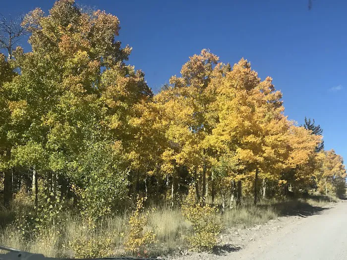 Lower Lagunitas Campground 2