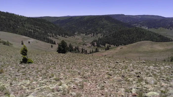 Lower Lagunitas Campground 3