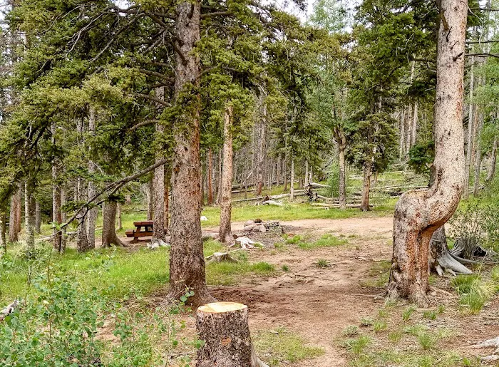 Upper Lagunitas Campground 0