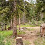 Upper Lagunitas Campground