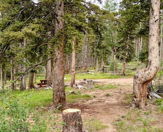 Upper Lagunitas Campground