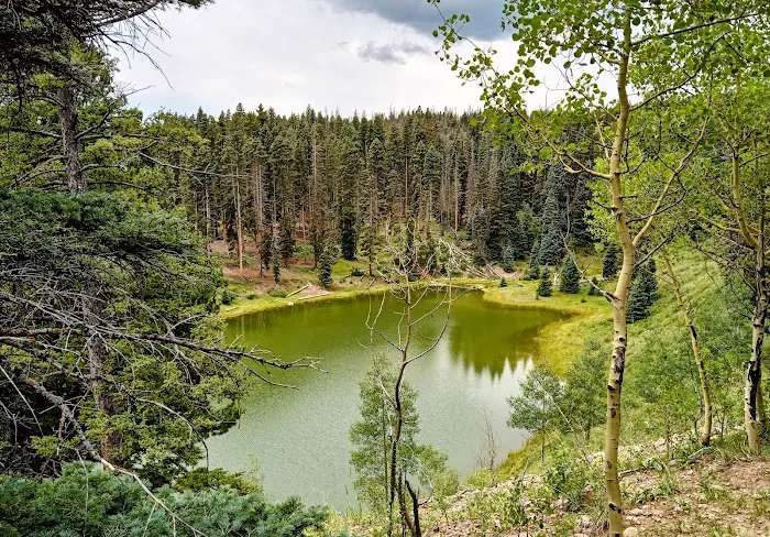Upper Lagunitas Campground 1