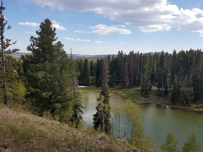 Upper Lagunitas Campground 2