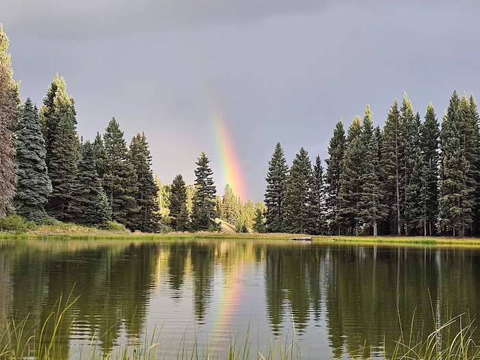 Upper Lagunitas Campground 4