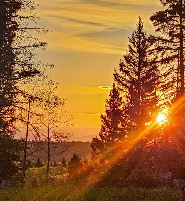 Upper Lagunitas Campground 9
