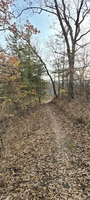 Whiterock Conservancy Star Field Campground 3