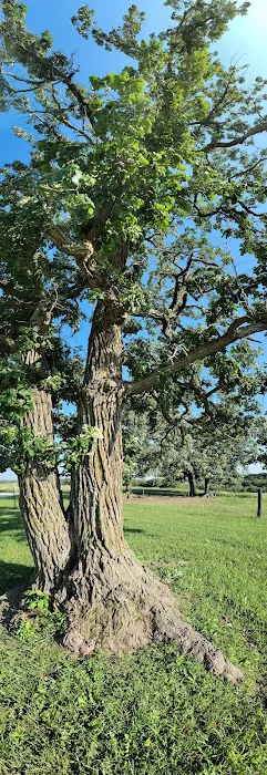Whiterock Conservancy Oak Ridge Campground 7