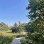 Whiterock Conservancy River Campground