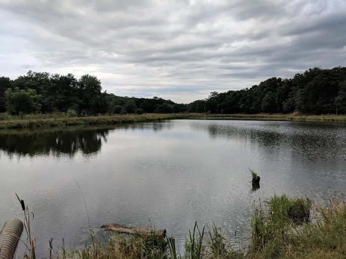 Whiterock Conservancy River Campground 6