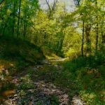 Foster Acres Campground & Trails Boys Scouts of America Mid-Iowa Council