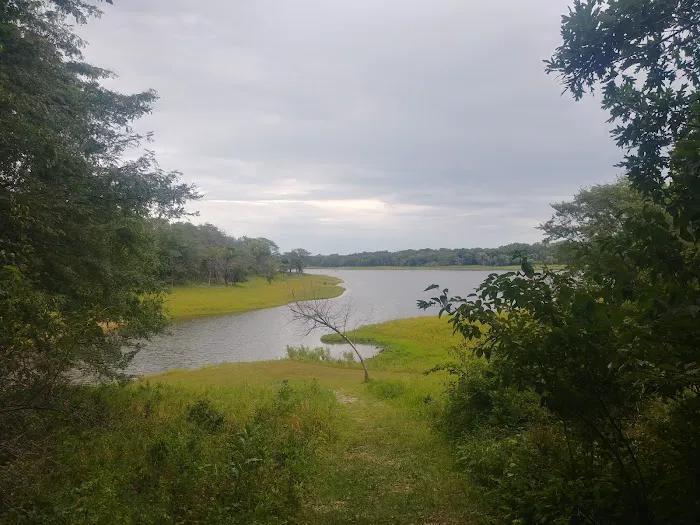 Roberts Creek West 9