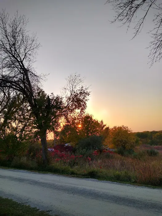 Roberts Creek Campground East 6