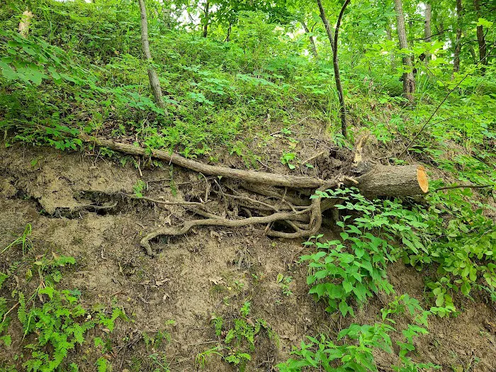 Ivan's Recreation Area 1