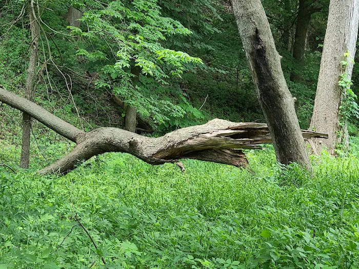 Ivan's Recreation Area 6