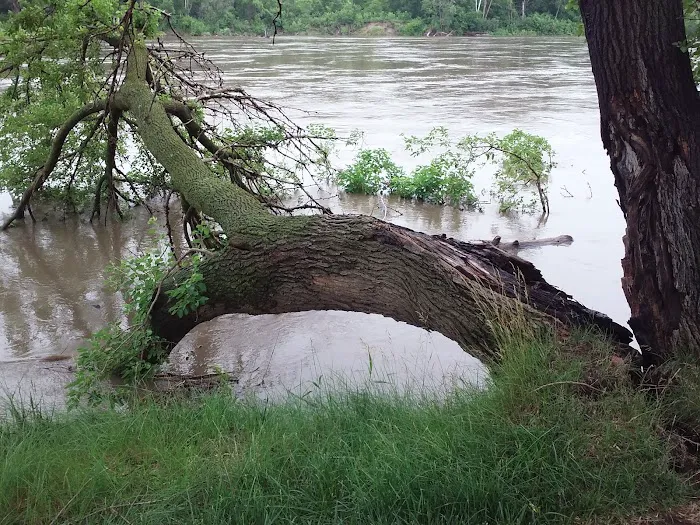 Beck Memorial Park Campground 2