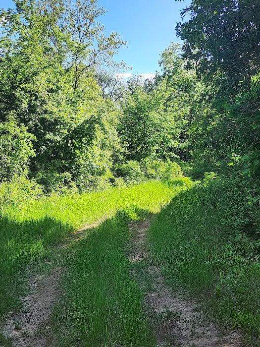 Big ELK PARK 0