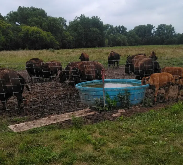 Big ELK PARK 8