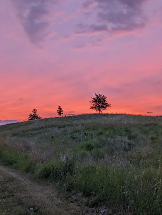 Southwood Conservation Area Campround 8