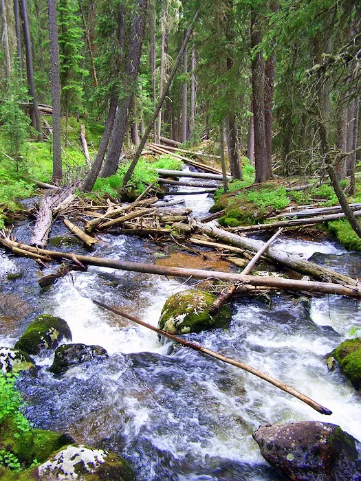 Onahu Creek 2