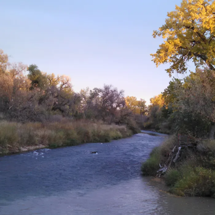 Riverside Campground 8