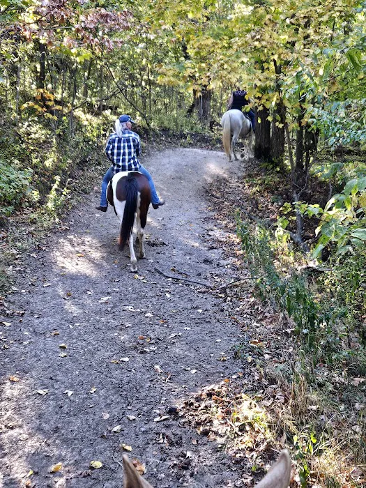 Brushy Creek South Equine Campground 5