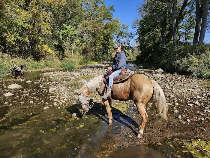 Brushy Creek South Equine Campground 8
