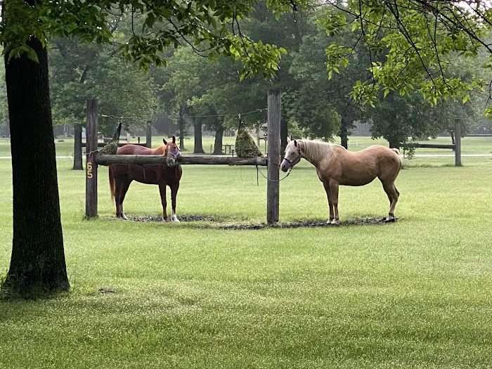 Brushy Creek North Equestrian Campground 7