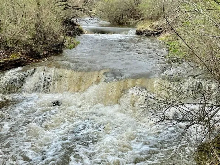 Briggs Woods Campground 1