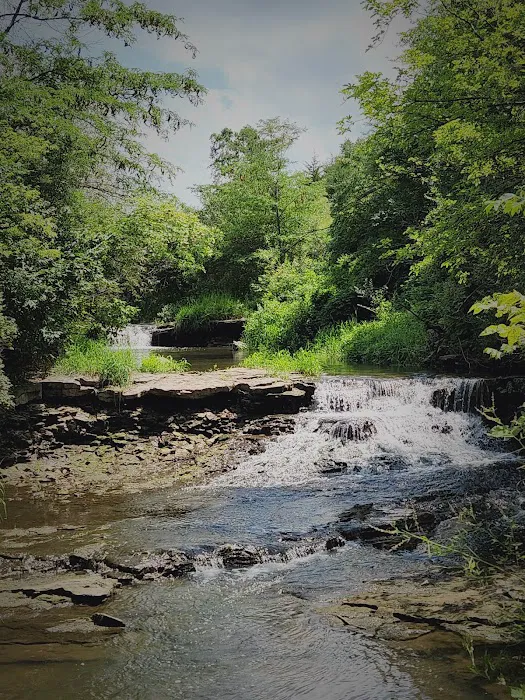 Briggs Woods Campground 5
