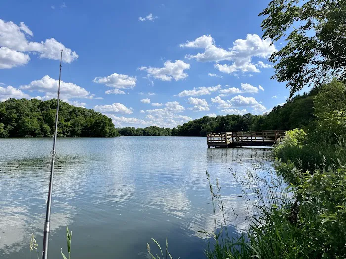 Briggs Woods Campground 3