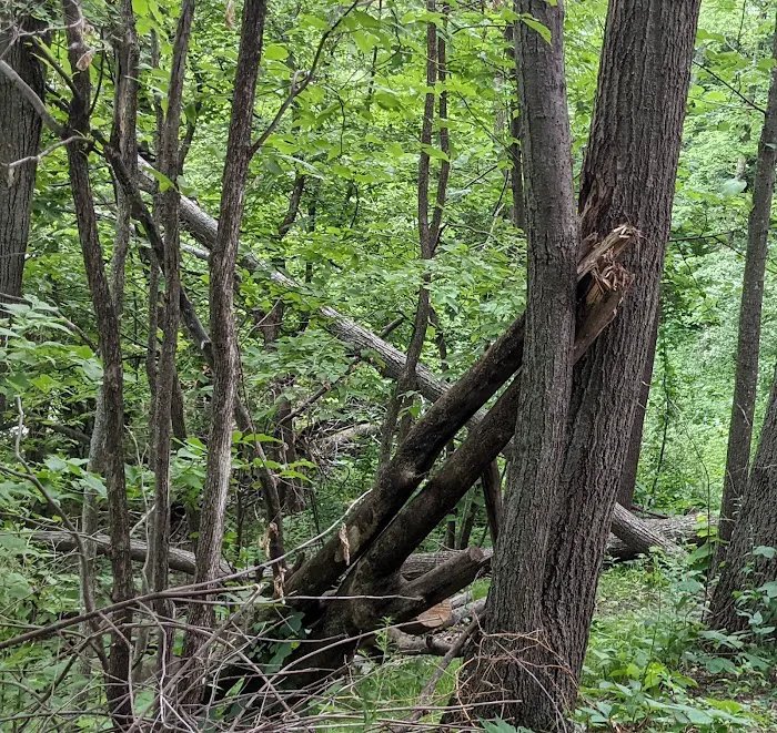 Kennedy Park Campground 9