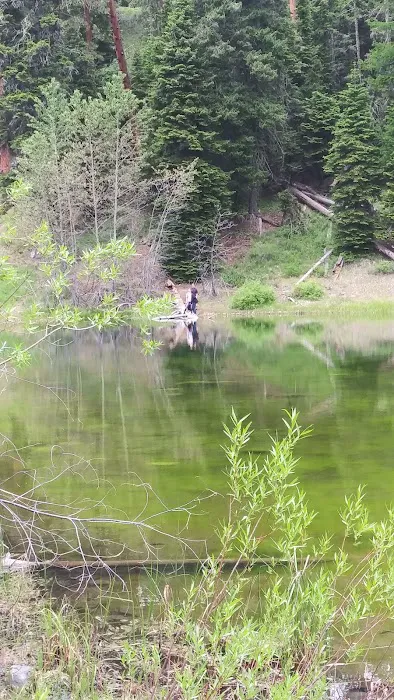 Bear Lake Campground 1