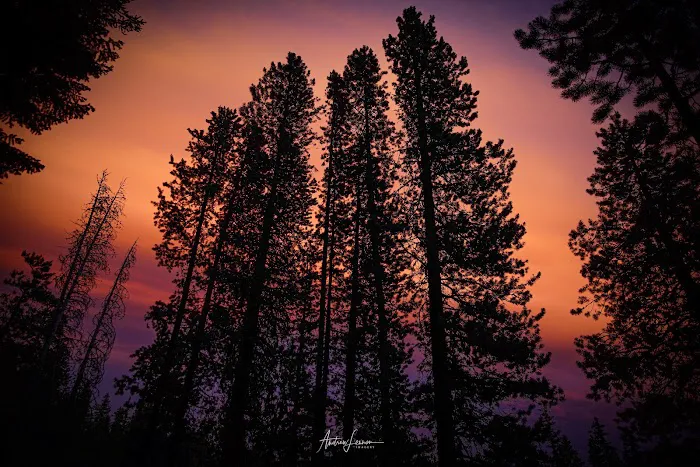 Bear Lake Campground 2