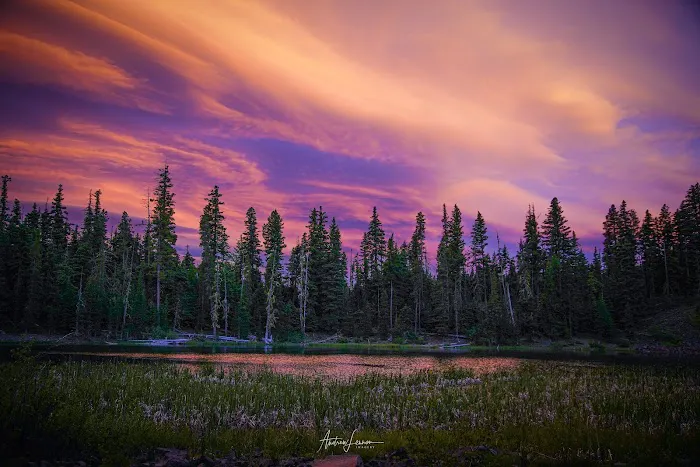 Bear Lake Campground 5