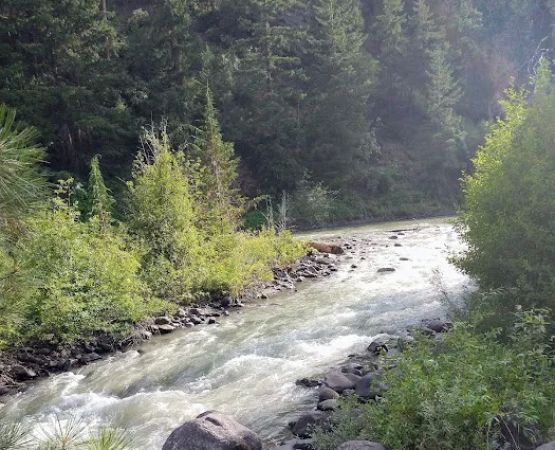 Willows Campground