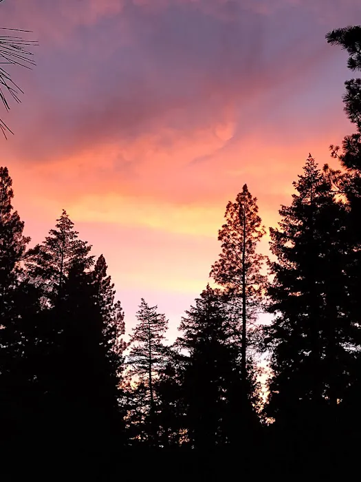 Willows Campground 7
