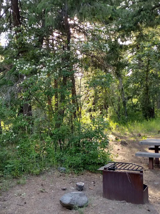 Willows Campground 4