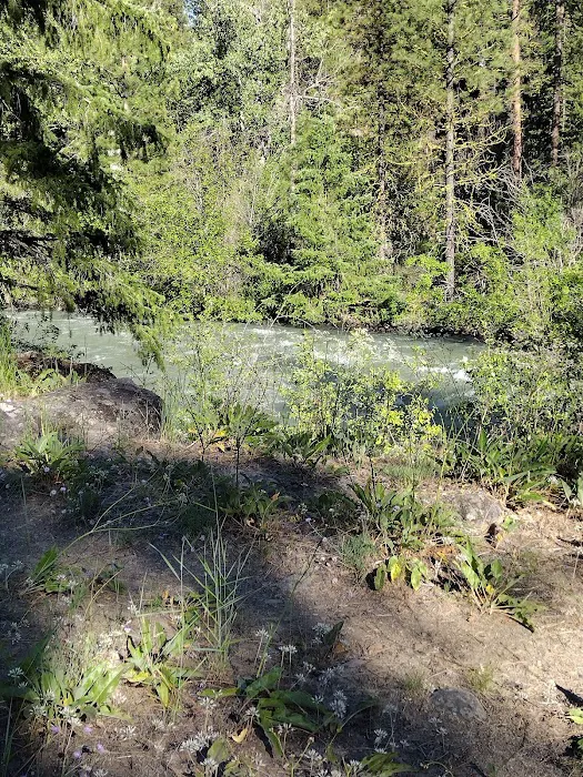 Willows Campground 8