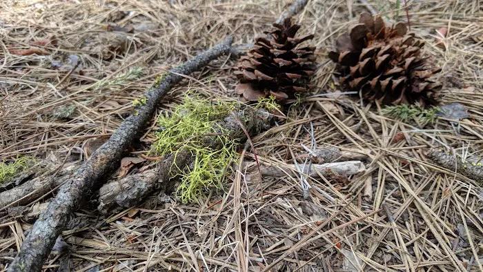 Hause Creek Campground 5