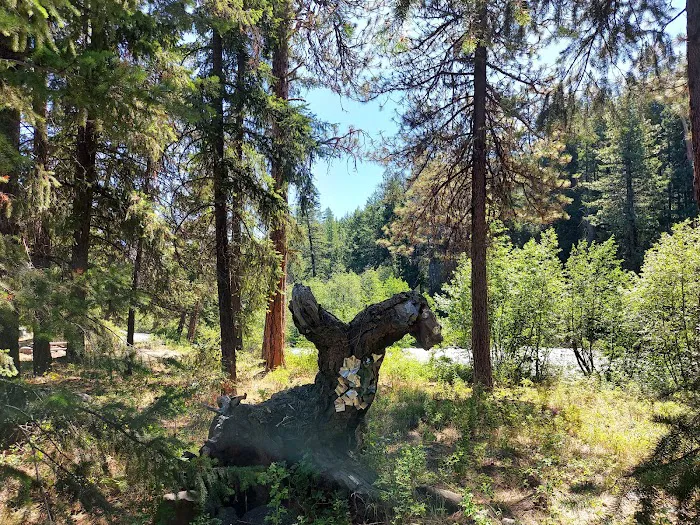 Hause Creek Campground 4