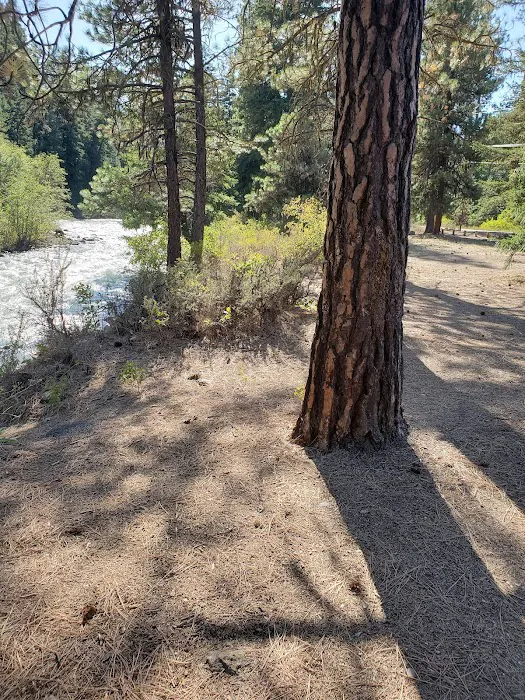Hause Creek Campground 7